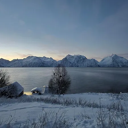 Luxury tent Lyngenfjord View
