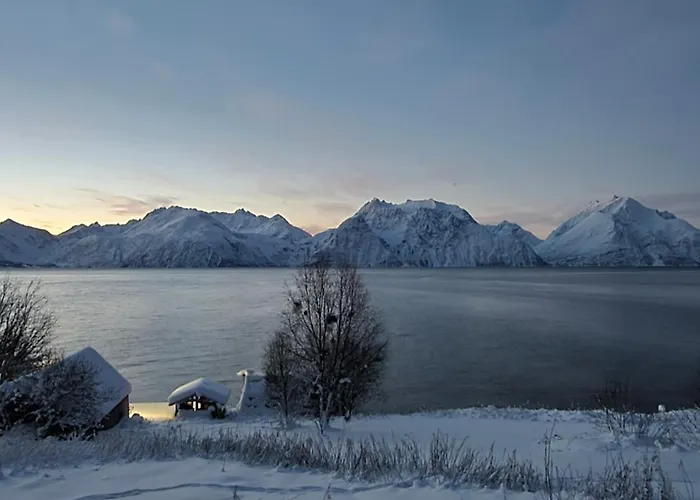 Lyxtält Lyngenfjord View